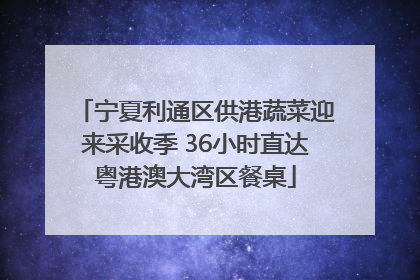 宁夏利通区供港蔬菜迎来采收季 36小时直达粤港澳大湾区餐桌