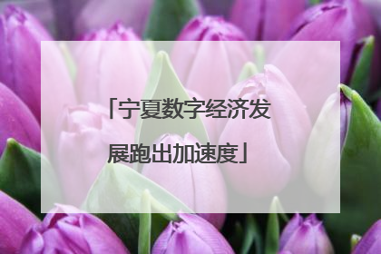 宁夏数字经济发展跑出加速度