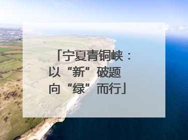 宁夏青铜峡：以“新”破题 向“绿”而行