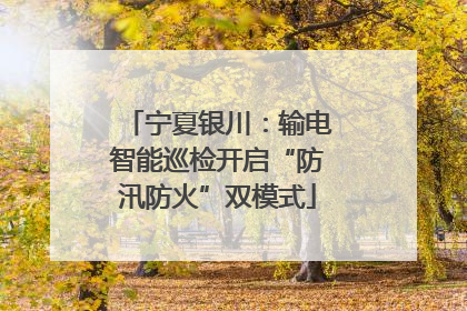 宁夏银川：输电智能巡检开启“防汛防火”双模式