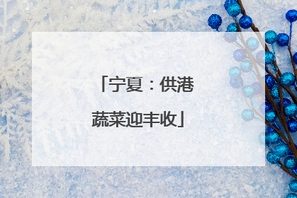 宁夏：供港蔬菜迎丰收