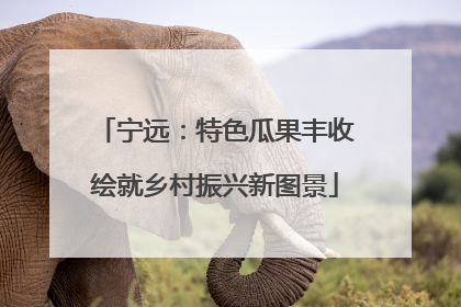 宁远：特色瓜果丰收绘就乡村振兴新图景