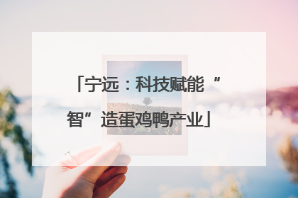 宁远：科技赋能“智”造蛋鸡鸭产业
