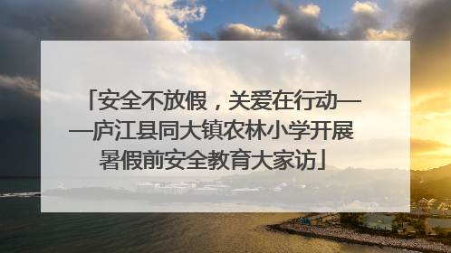 安全不放假，关爱在行动——庐江县同大镇农林小学开展暑假前安全教育大家访