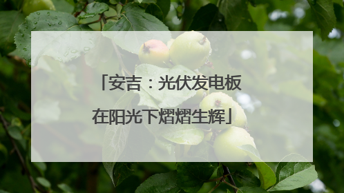 安吉：光伏发电板在阳光下熠熠生辉