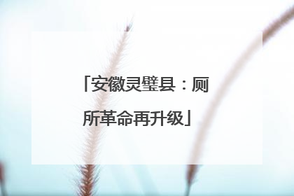 安徽灵璧县：厕所革命再升级