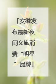 安徽发布最新夜间文旅消费“明星”品牌