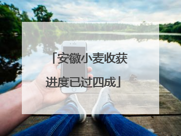 安徽小麦收获进度已过四成