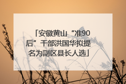 安徽黄山“准90后”干部洪国华拟提名为副区县长人选