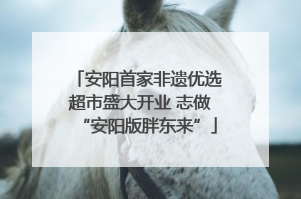 安阳首家非遗优选超市盛大开业 志做“安阳版胖东来”