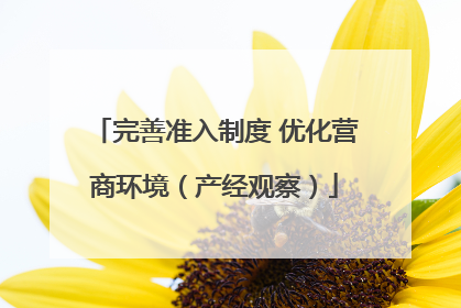 完善准入制度 优化营商环境（产经观察）