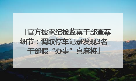 官方披露纪检监察干部查案细节：调取停车记录发现3名干部假“办事”真麻将