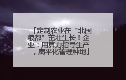 定制农业在“北国粮都”茁壮生长！企业：用算力指导生产，扁平化管理种地