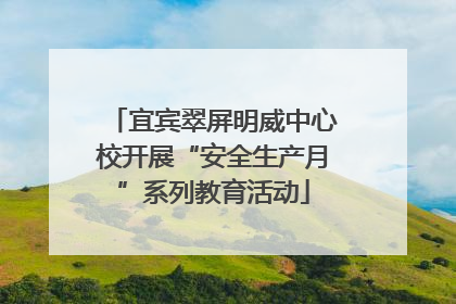 宜宾翠屏明威中心校开展“安全生产月”系列教育活动