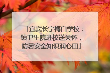 宜宾长宁梅白学校：镇卫生院进校送关怀，防暑安全知识润心田