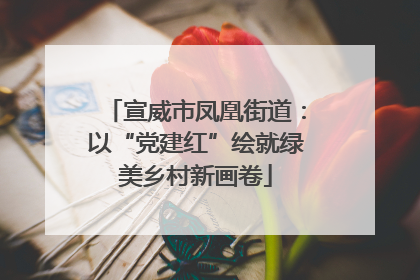 宣威市凤凰街道：以“党建红”绘就绿美乡村新画卷
