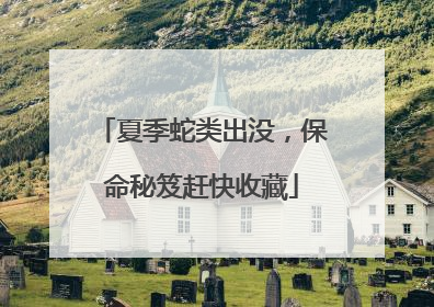 夏季蛇类出没，保命秘笈赶快收藏