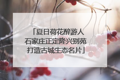 夏日荷花醉游人 石家庄正定隆兴别苑打造古城生态名片
