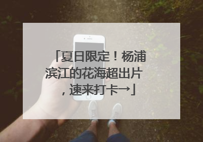 夏日限定！杨浦滨江的花海超出片，速来打卡→