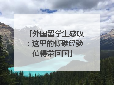 外国留学生感叹：这里的低碳经验值得带回国