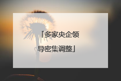 多家央企领导密集调整