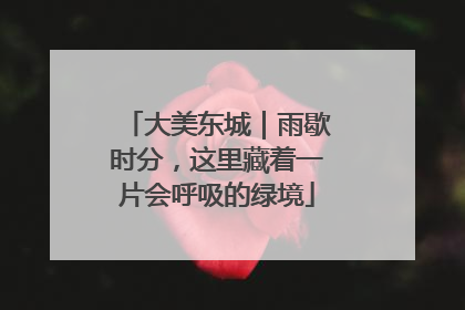 大美东城｜雨歇时分，这里藏着一片会呼吸的绿境