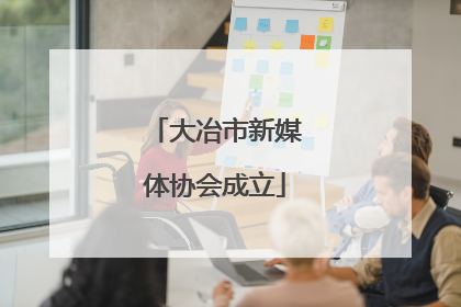 大冶市新媒体协会成立