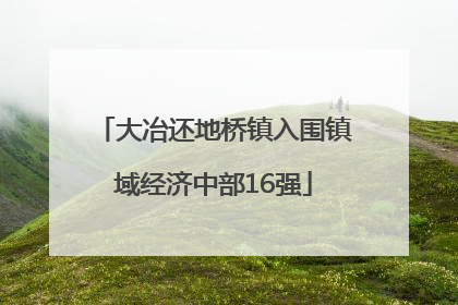大冶还地桥镇入围镇域经济中部16强