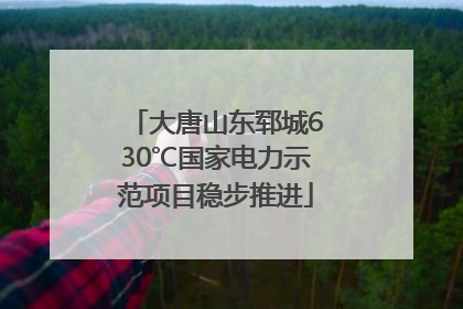 大唐山东郓城630℃国家电力示范项目稳步推进