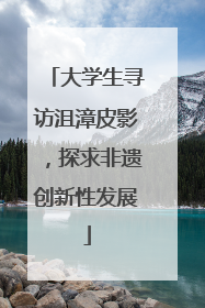 大学生寻访沮漳皮影，探求非遗创新性发展