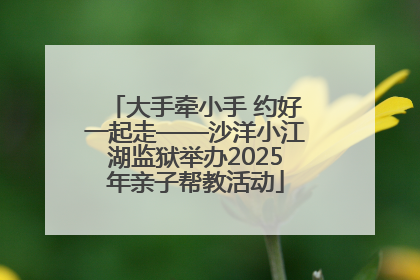 大手牵小手 约好一起走——沙洋小江湖监狱举办2025年亲子帮教活动
