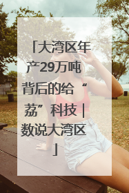 大湾区年产29万吨背后的给“荔”科技｜数说大湾区