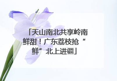天山南北共享岭南鲜甜！广东荔枝抢“鲜”北上进疆