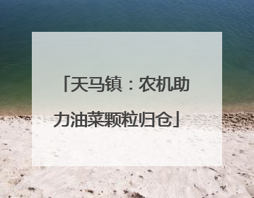 天马镇：农机助力油菜颗粒归仓