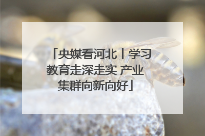央媒看河北丨学习教育走深走实 产业集群向新向好