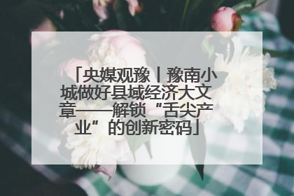 央媒观豫丨豫南小城做好县域经济大文章——解锁“舌尖产业”的创新密码