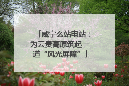 威宁么站电站：为云贵高原筑起一道“风光屏障”