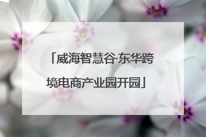 威海智慧谷·东华跨境电商产业园开园