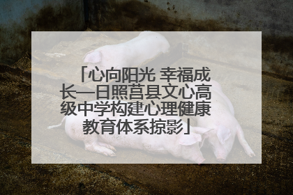 心向阳光 幸福成长—日照莒县文心高级中学构建心理健康教育体系掠影