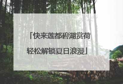 快来莲都碧湖赏荷 轻松解锁夏日浪漫