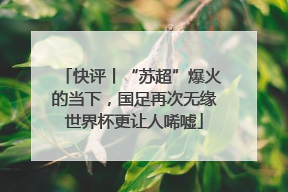 快评丨“苏超”爆火的当下，国足再次无缘世界杯更让人唏嘘