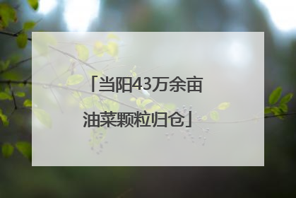 当阳43万余亩油菜颗粒归仓