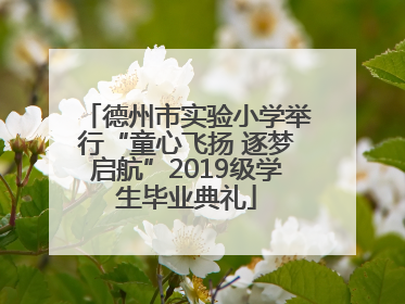 德州市实验小学举行“童心飞扬 逐梦启航”2019级学生毕业典礼