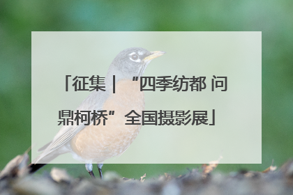 征集｜“四季纺都 问鼎柯桥”全国摄影展