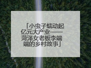 小虫子蠕动起亿元大产业——菏泽女老板李端端的乡村故事