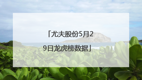 尤夫股份5月29日龙虎榜数据