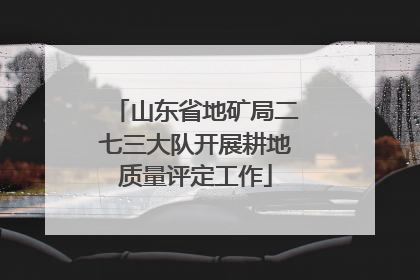 山东省地矿局二七三大队开展耕地质量评定工作