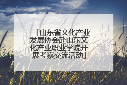 山东省文化产业发展协会赴山东文化产业职业学院开展考察交流活动