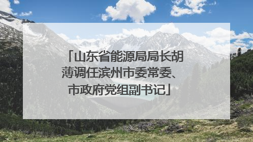 山东省能源局局长胡薄调任滨州市委常委、市政府党组副书记