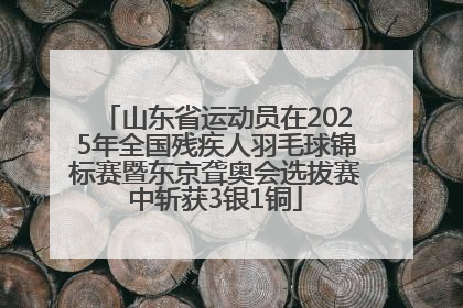 山东省运动员在2025年全国残疾人羽毛球锦标赛暨东京聋奥会选拔赛中斩获3银1铜